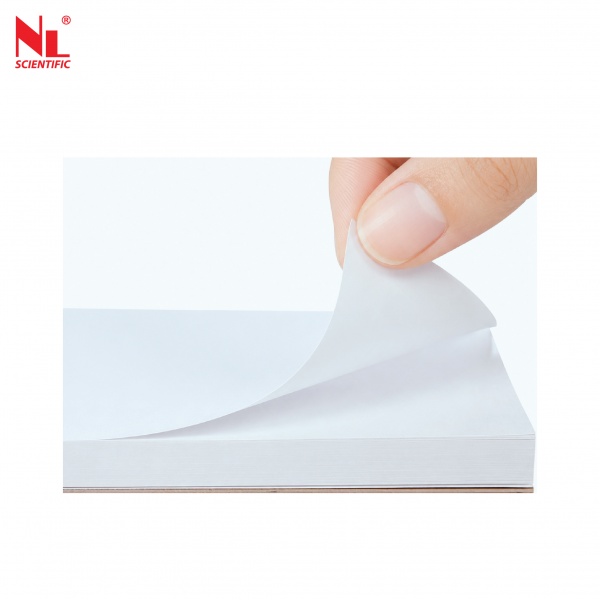 nl5029x001-03
