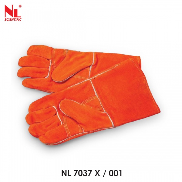 nl7037x-01